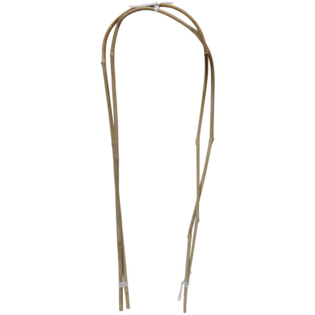 Bild 1 von FLORAWORLD Pflanzenbogen, bambus, Höhe: 60 cm