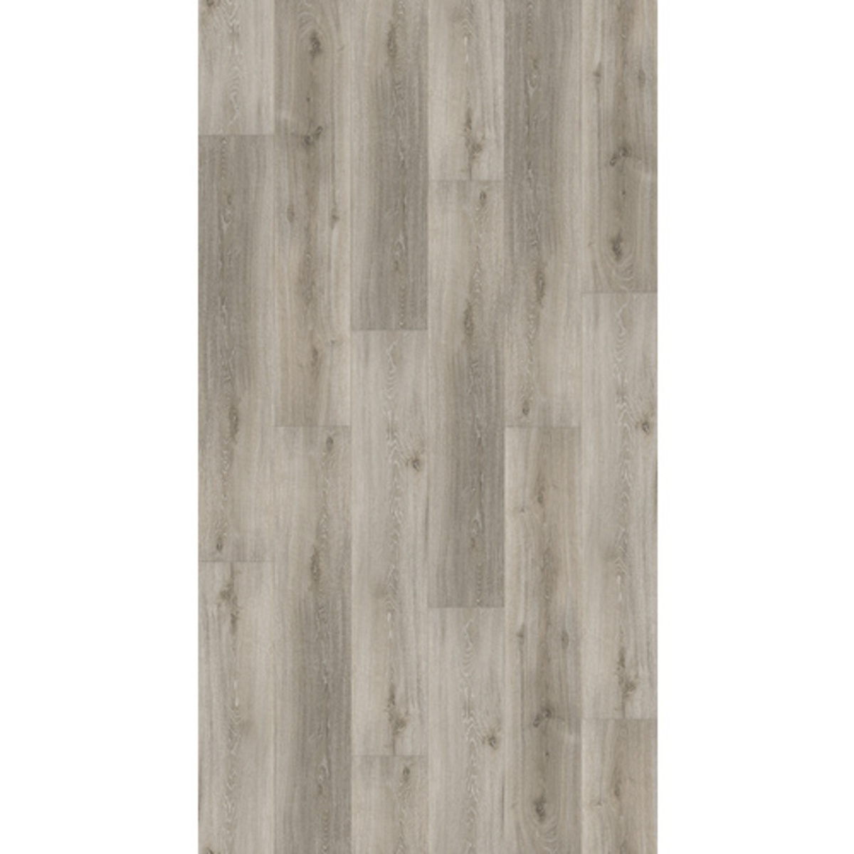 Bild 1 von PARADOR Designboden Handmuster »Basic 30«, BxL: 216 x 200 mm, Eiche - grau