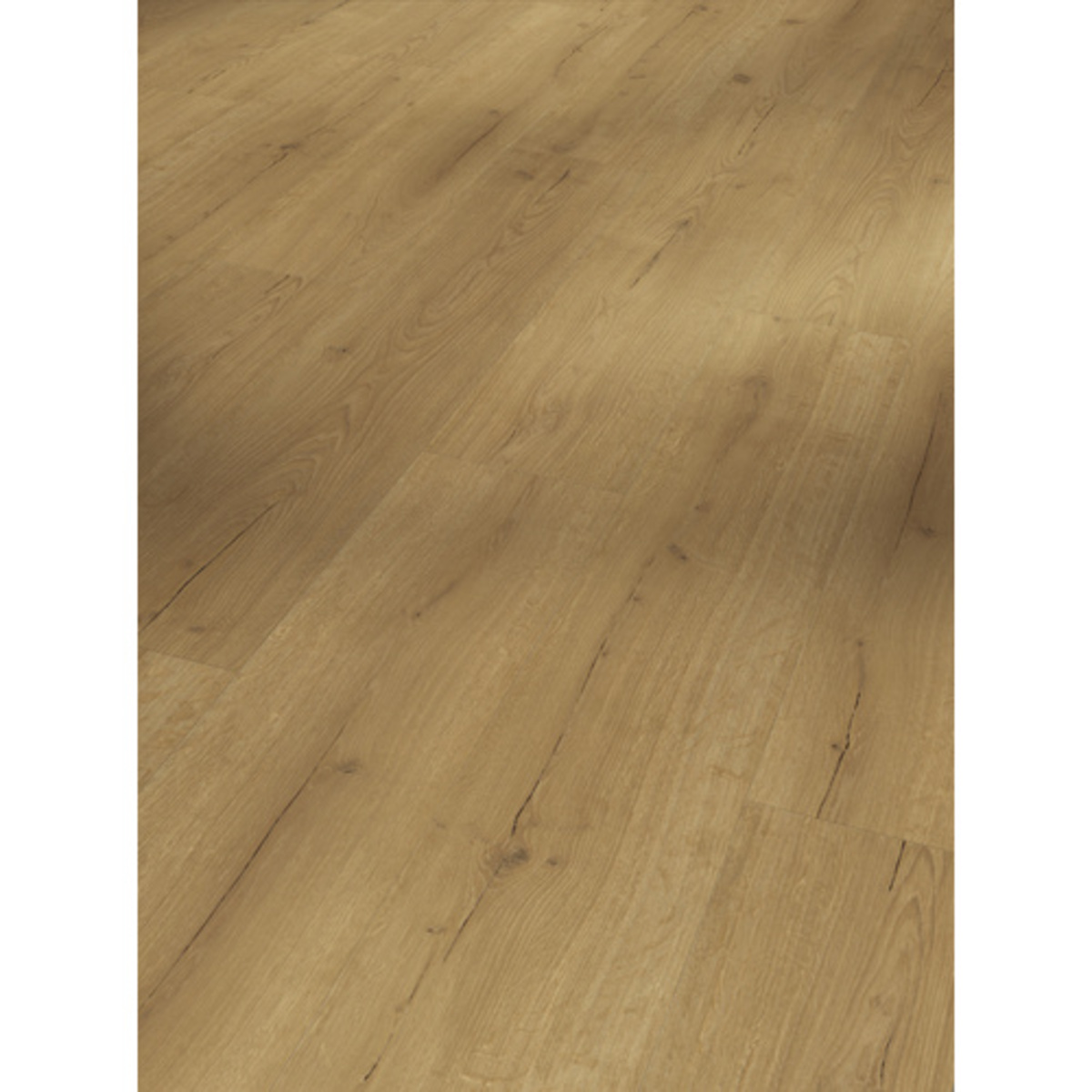 Bild 1 von PARADOR Designboden Handmuster »Basic 30«, BxL: 216 x 200 mm, Eiche - braun