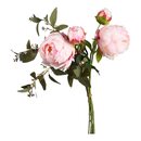Bild 1 von Blumenbündel Pfingstrosen ca. 58cm, rosa