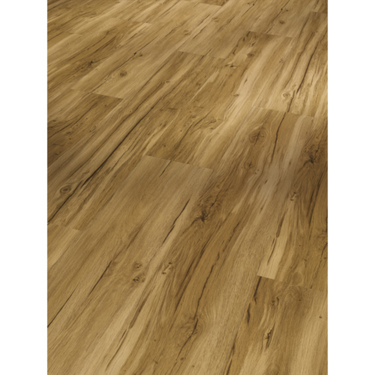 Bild 1 von PARADOR Designboden Handmuster »Basic 4.3«, BxL: 219 x 200 mm, Eiche - braun