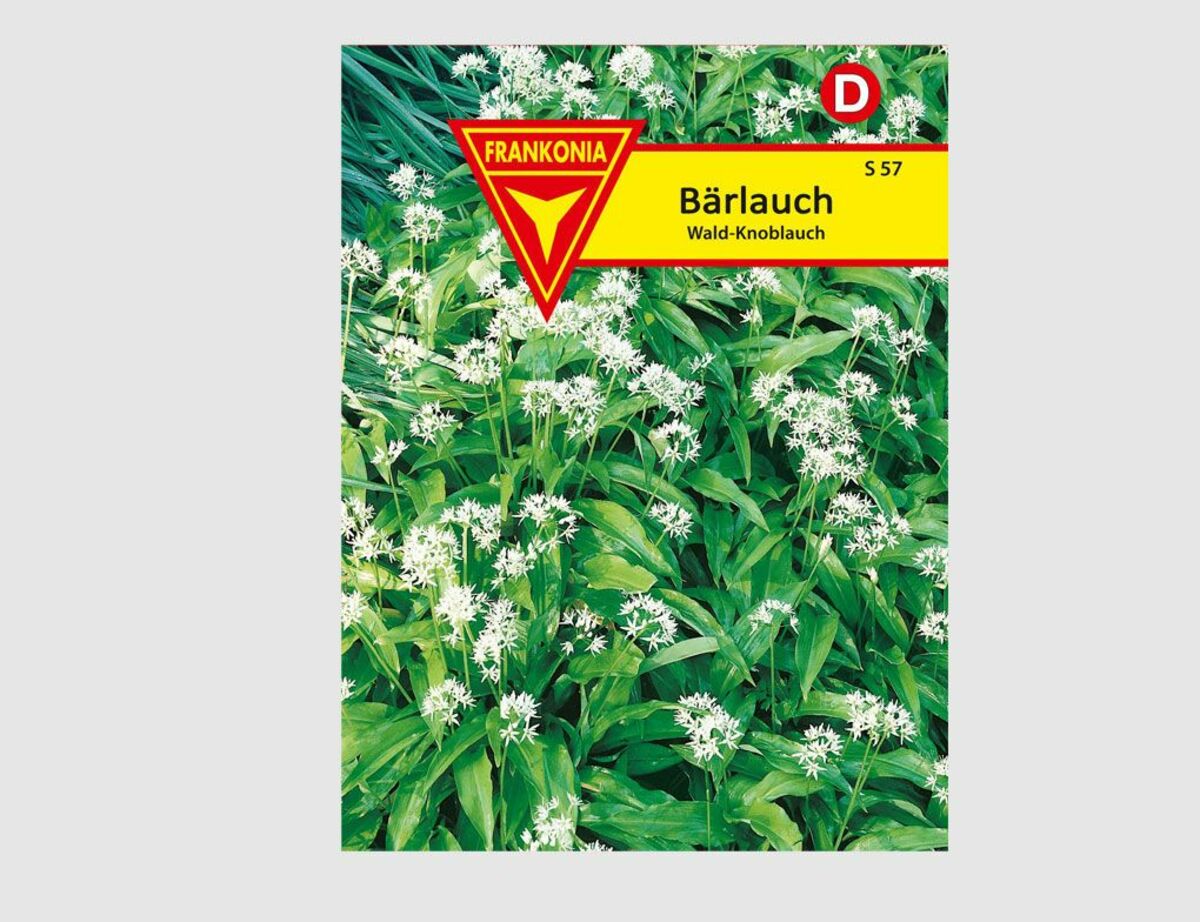 Bild 1 von Bärlauch