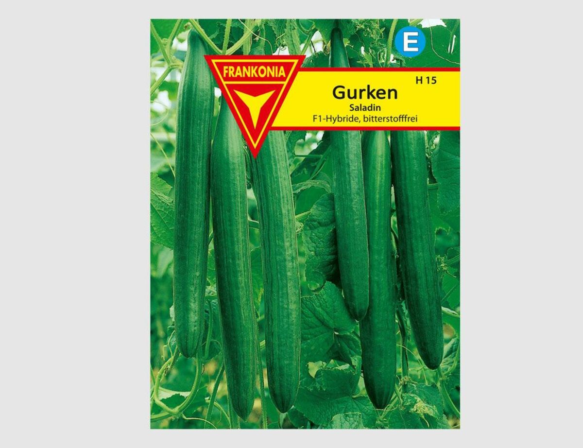 Bild 1 von Gurken Saladin