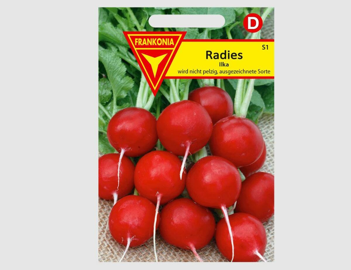 Bild 1 von Radies Ilka