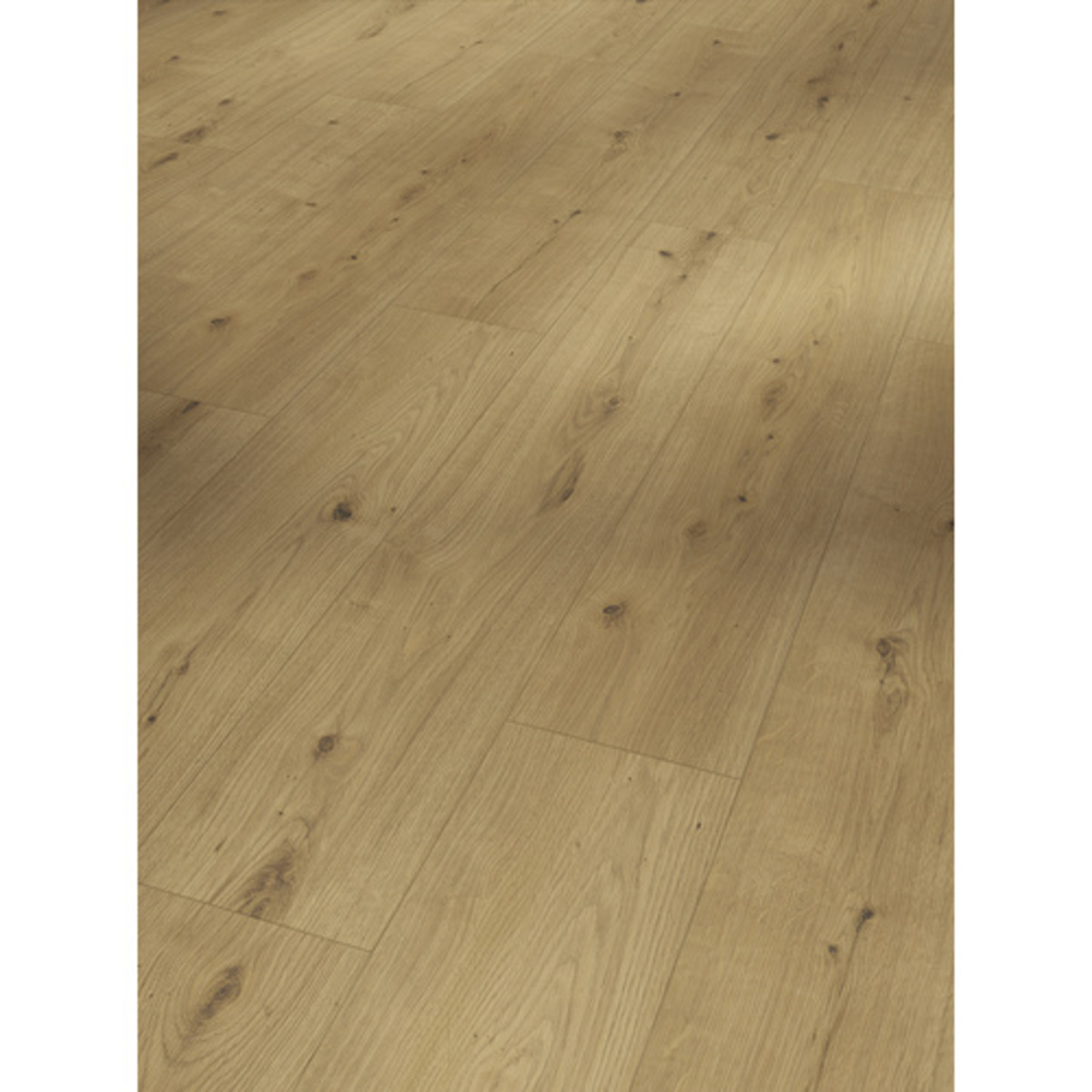 Bild 1 von PARADOR Designboden Handmuster »Modular One«, BxL: 194 x 200 mm