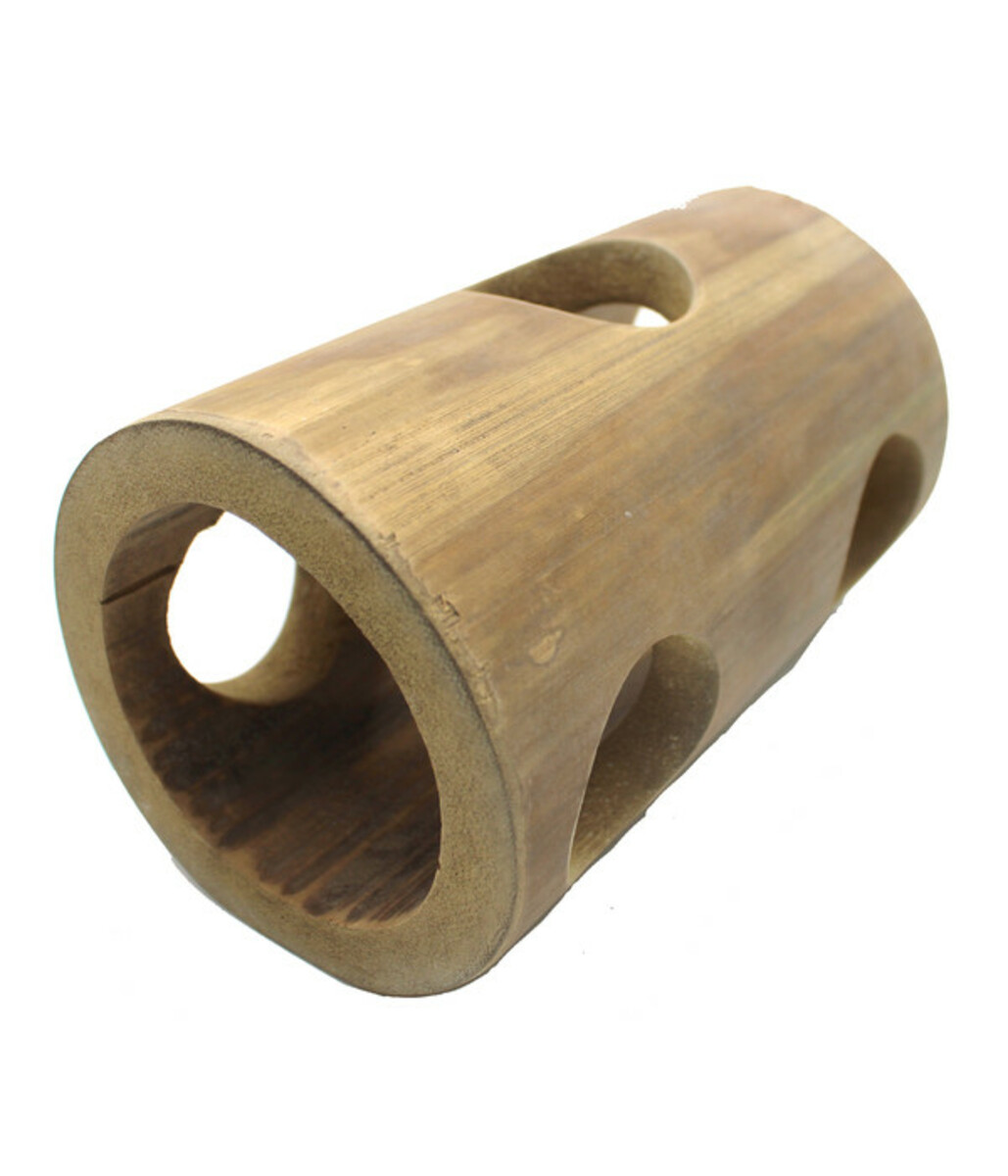 Bild 1 von Dehner Lieblinge Bambusröhre