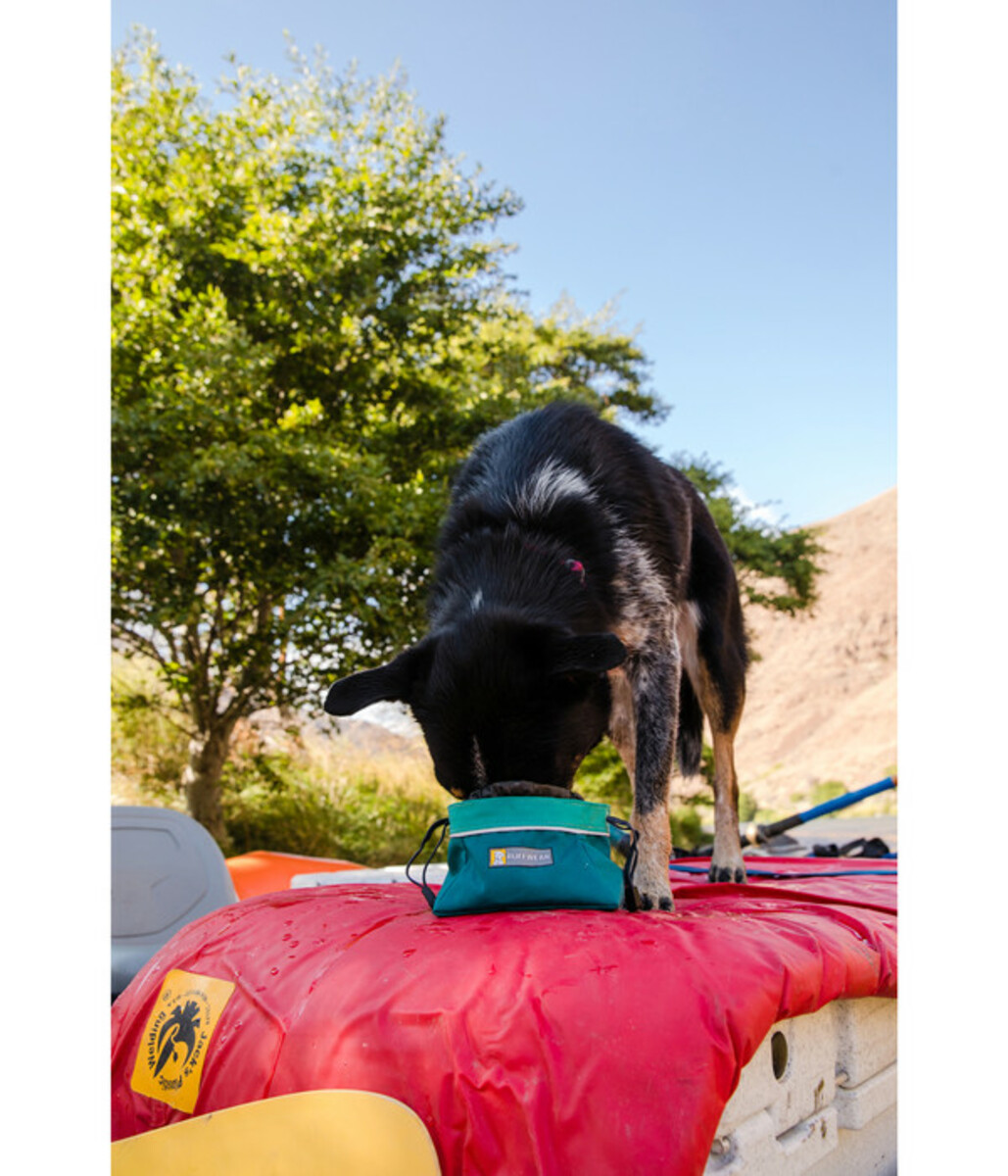 Bild 2 von RUFFWEAR® Hundereisenapf Quencher Cinch Top™