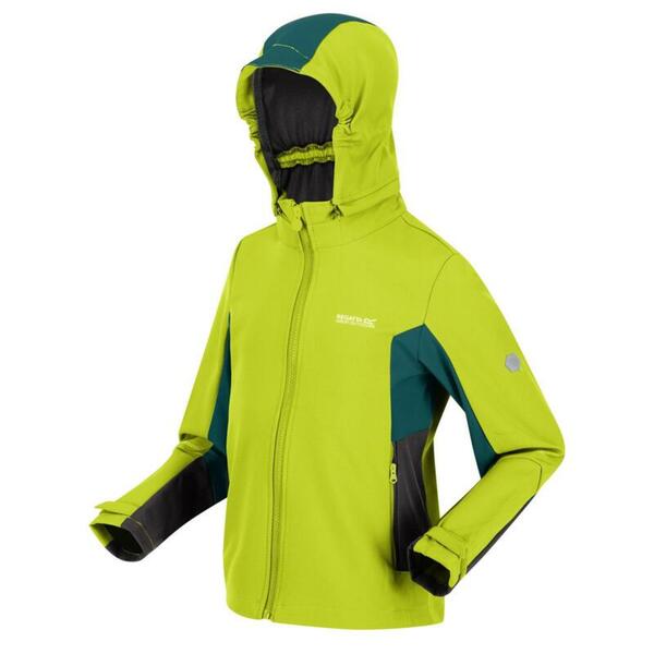 Bild 1 von REGATTA Acidity V Softshell-Walkingjacke für Kinder Reißverschluss - Grün