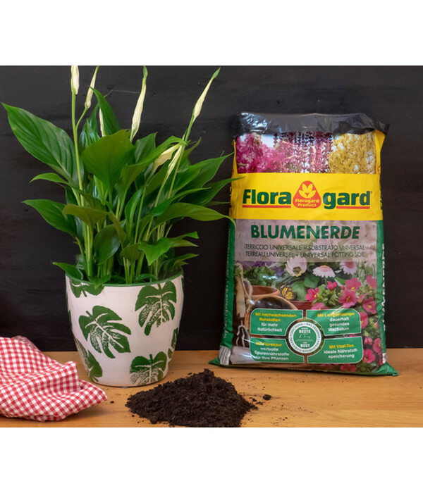 Bild 2 von Floragard Blumenerde, 3 x 20 l