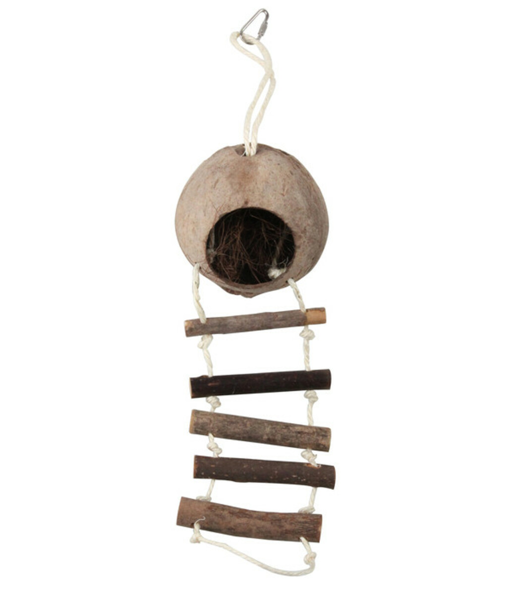 Bild 1 von Dehner Kokosnusshaus Globe