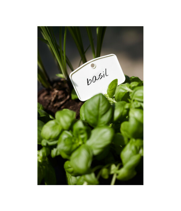 Bild 3 von elho Pflanz-Stift, 5 Stück