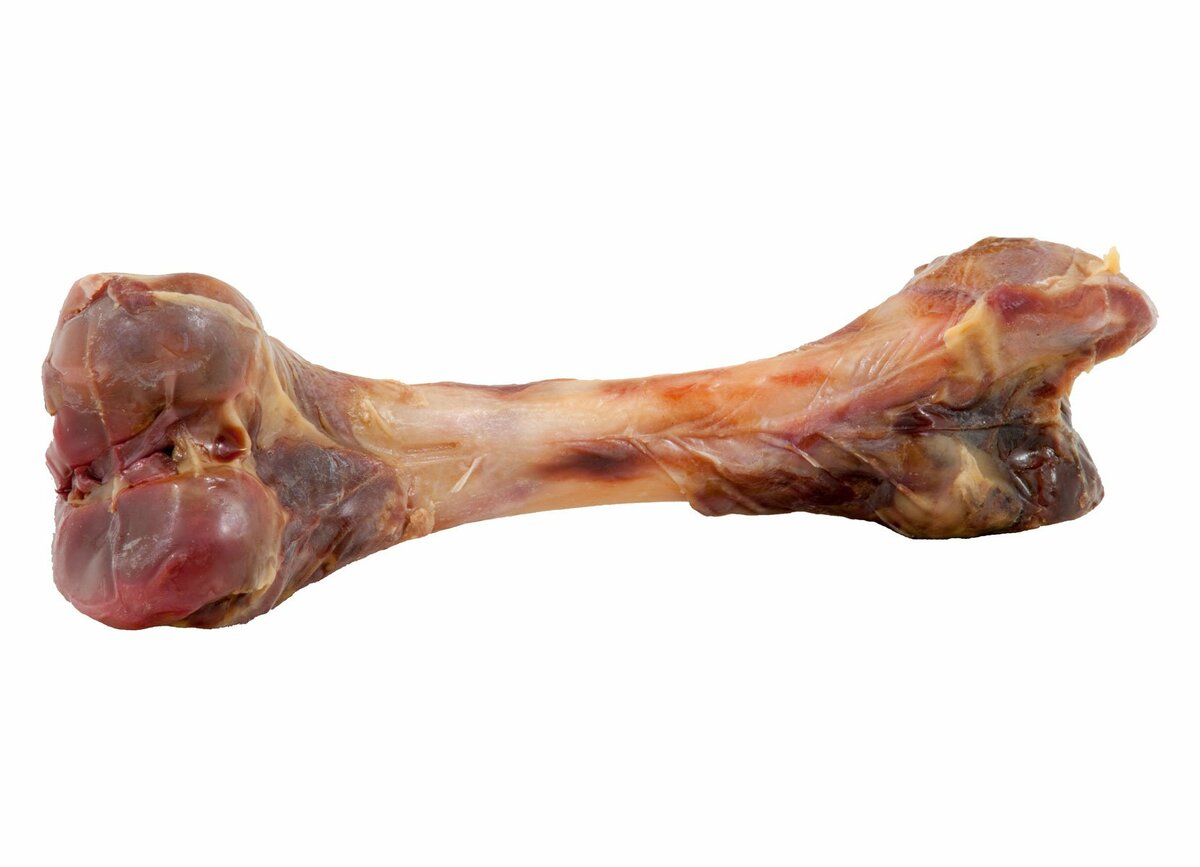 Bild 1 von Serrano Schinkenknochen 290g