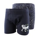 Bild 1 von Jungen Boxer Shorts im 2er Pack
                 
                                                        Blau