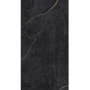 Breuer Rückwand 'Schwarz-Gold' seidenmatt 100 x 210 cm