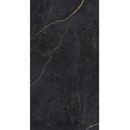 Bild 1 von Breuer Rückwand 'Schwarz-Gold' seidenmatt 100 x 210 cm