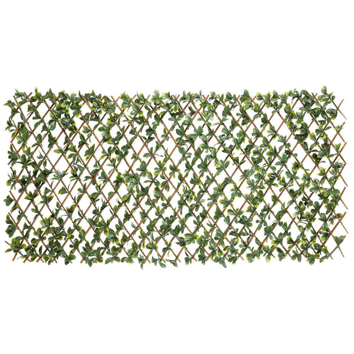 Bild 1 von Garden Deluxe Dekozaun Bayberry grün B/H/L: ca. 100x0,3x200 cm