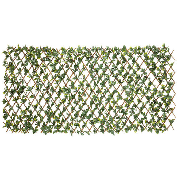 Bild 1 von Garden Deluxe Dekozaun Bayberry grün B/H/L: ca. 100x0,3x200 cm