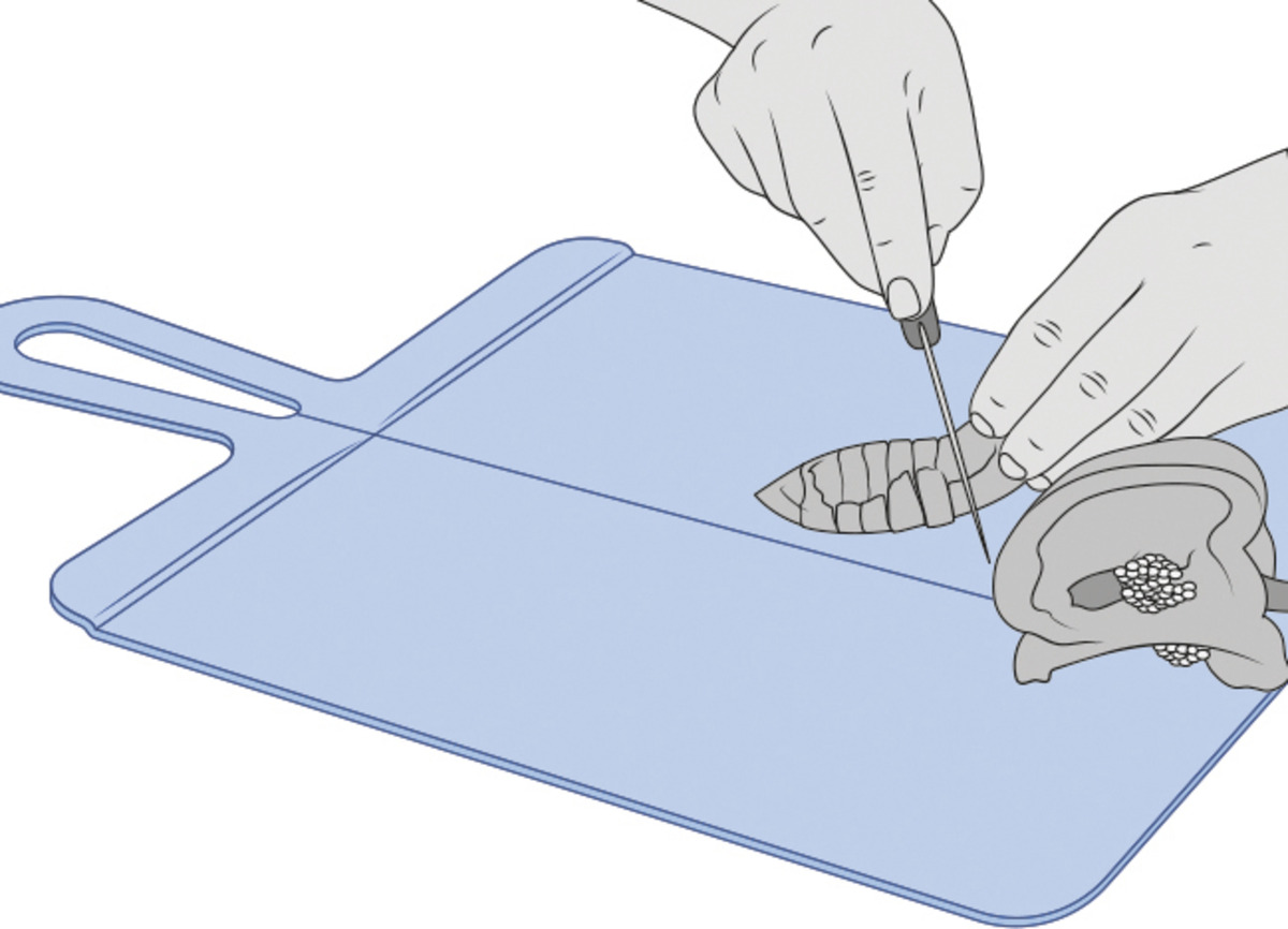 Bild 2 von IDEENWELT Faltbares Schneidbrett