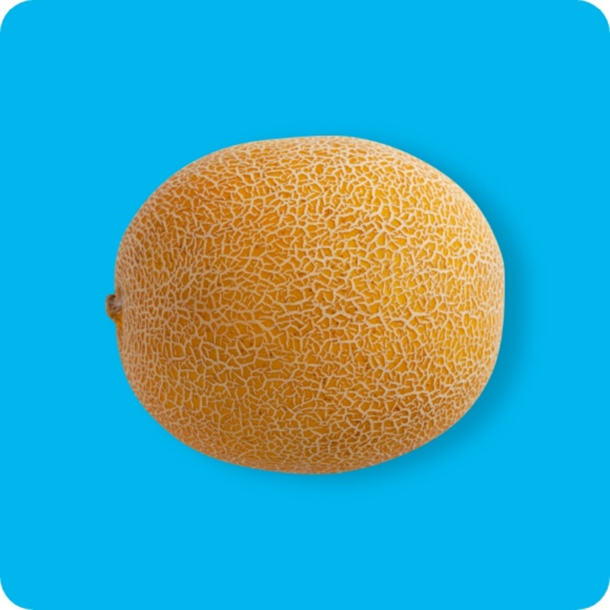 Bild 1 von Galiamelone