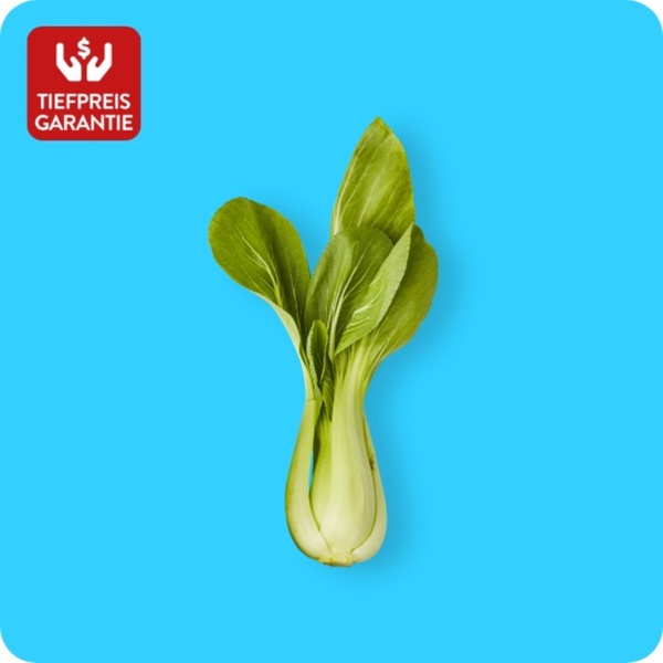 Bild 1 von Pak Choi