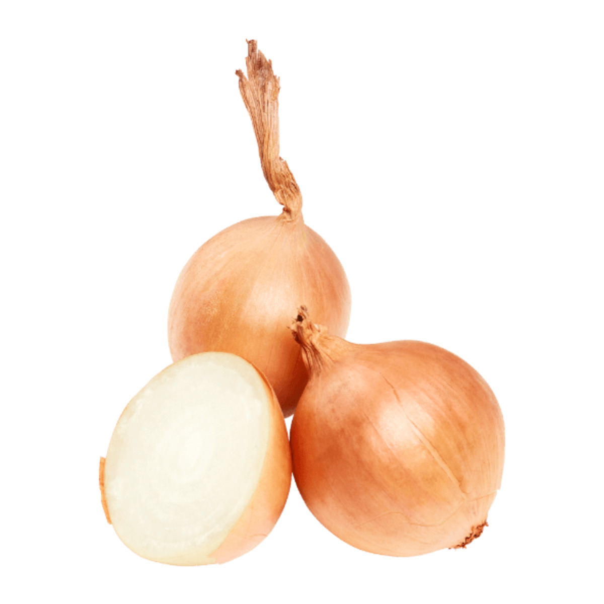 Bild 1 von GUT BIO Bio-Speisezwiebeln