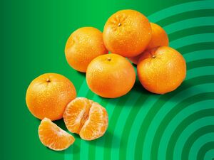 Bio Mandarinen/Clementinen, 
         1 kg