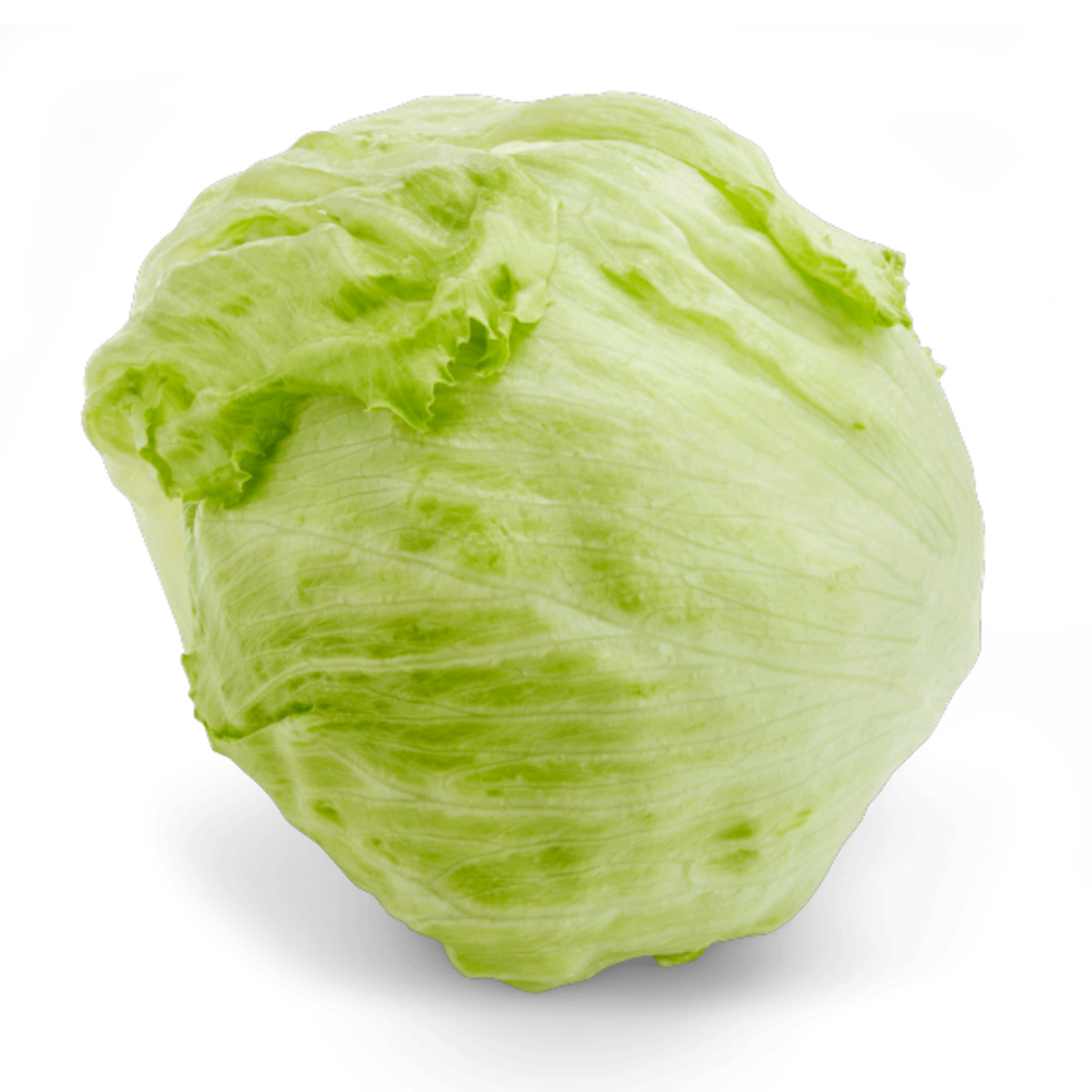 Bild 1 von Eisbergsalat