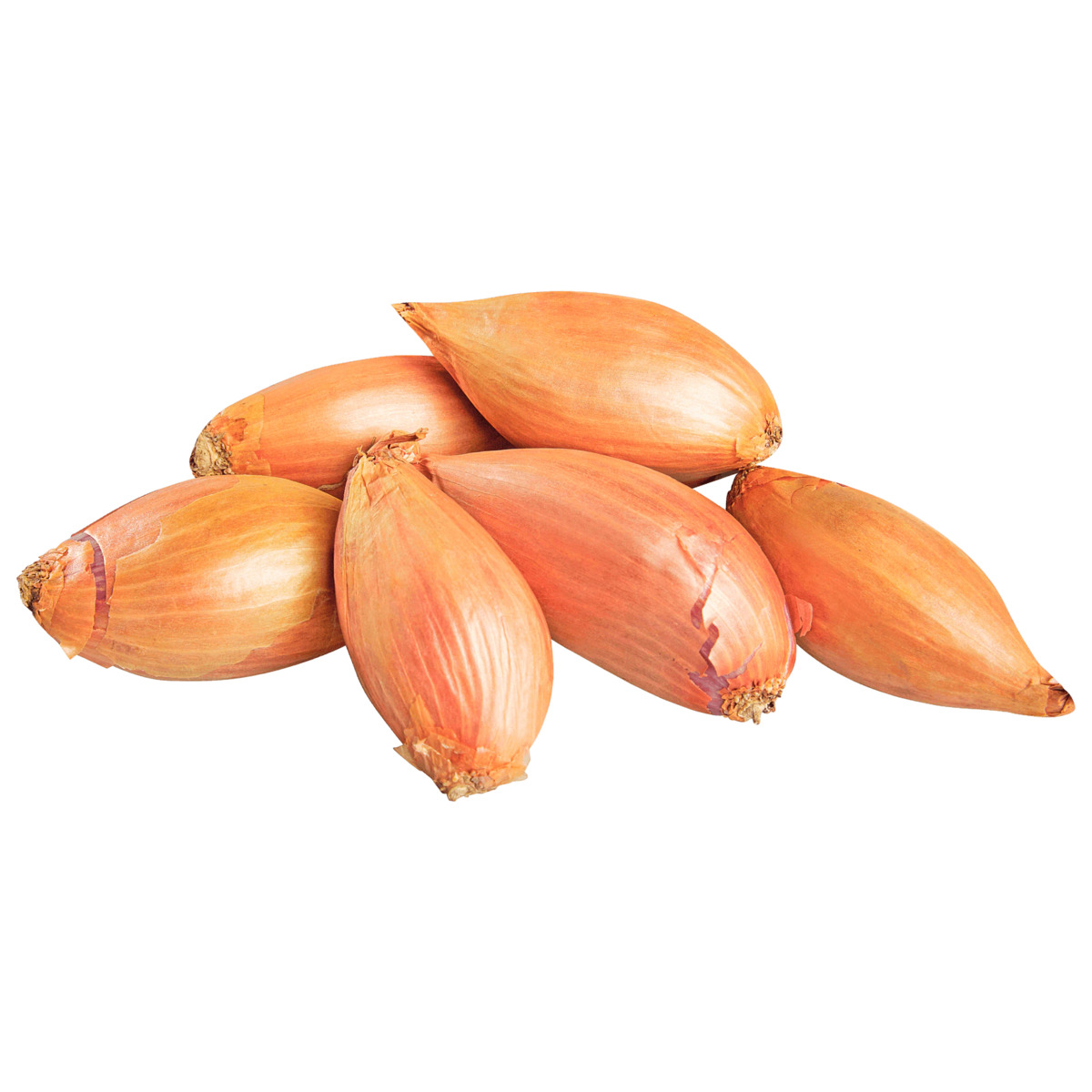 Bild 1 von REWE Bio Schalotten 200g im Netz