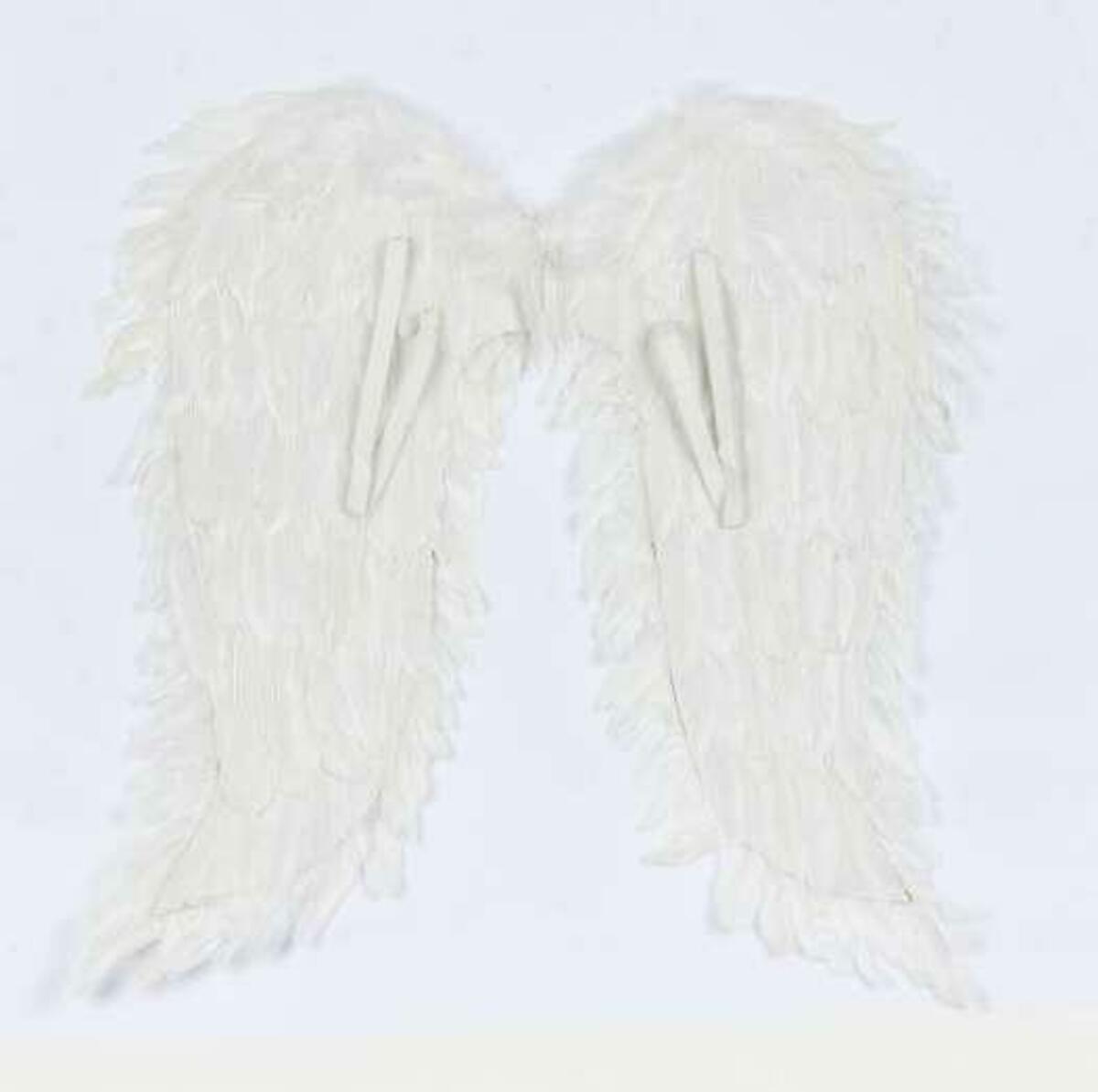 Bild 1 von Engelsflügel