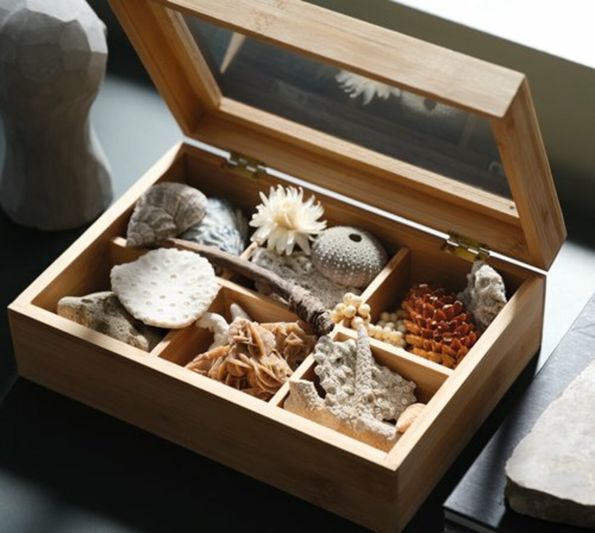 Bild 2 von Teebox STORM B23xL16xH8cm Holz