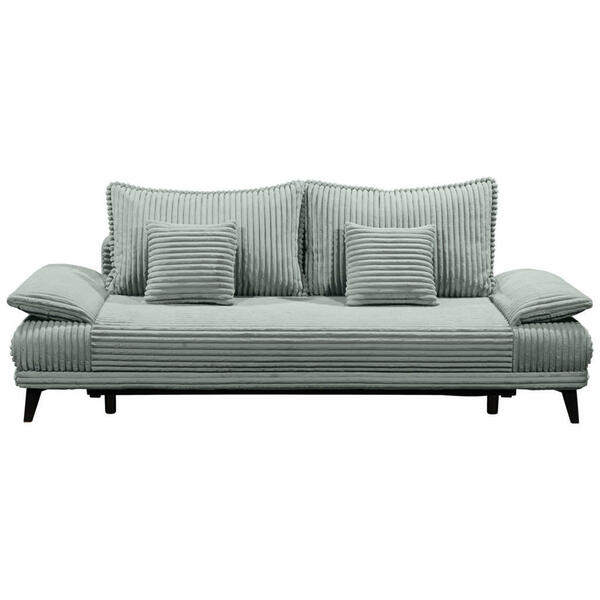 Bild 1 von Carryhome Schlafsofa, Pastellgrün, Textil, 2-Sitzer, Füllung: Schaumstoffflocken,Schaumstoffflocken,Schaumstoffflocken, 246x90x105 cm, Liegefunktion, Rücken echt, Kinder- & Jugendzimmer, Jugendmö