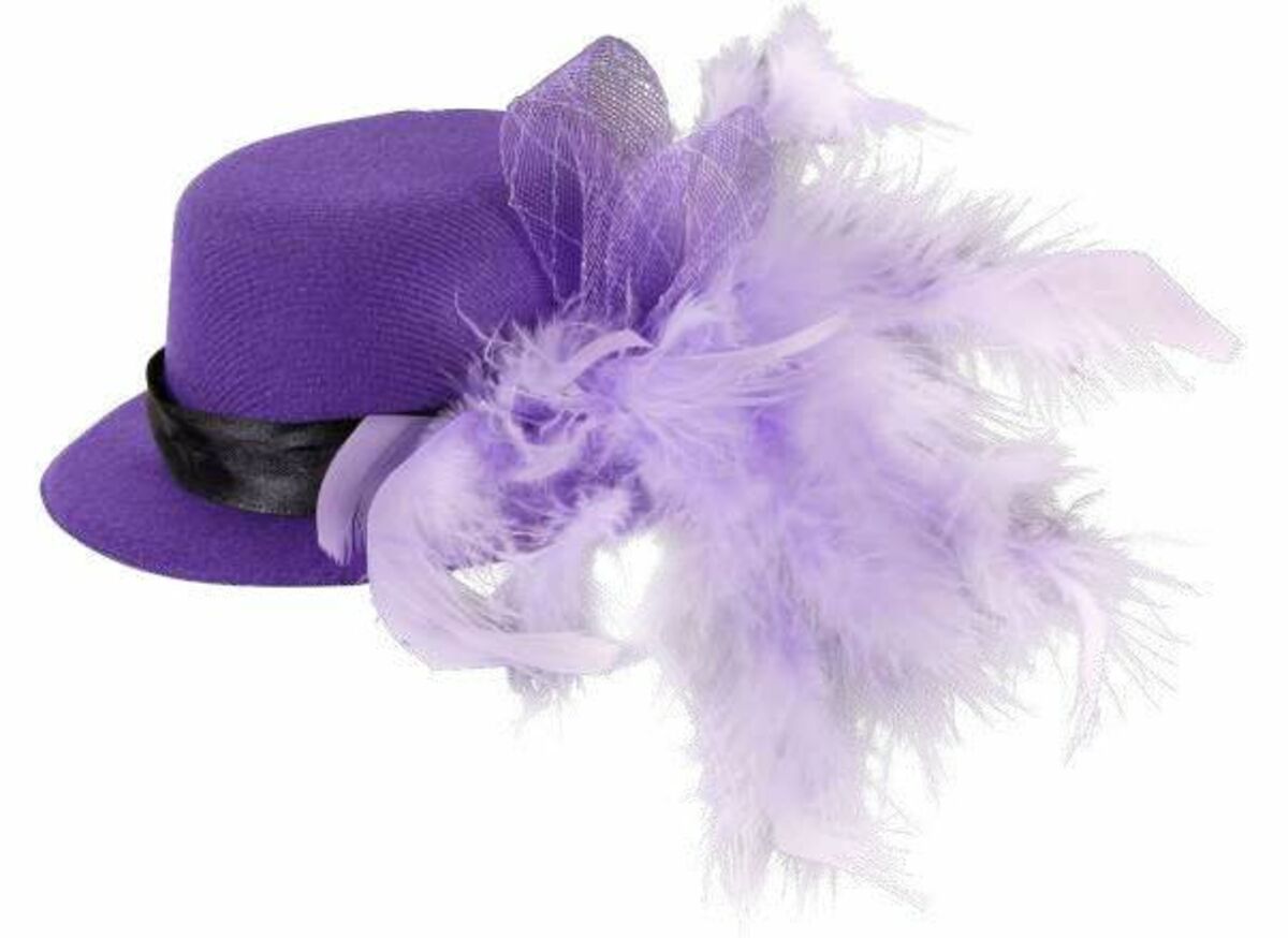 Bild 1 von Karneval Hut