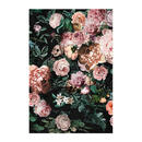 Bild 1 von Komar Wandbild Charming Wild Rosen B/L: ca. 50x70 cm
