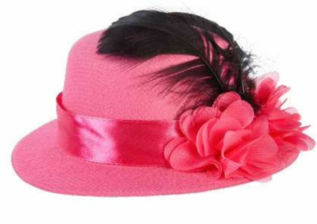 Bild 3 von Karneval Hut