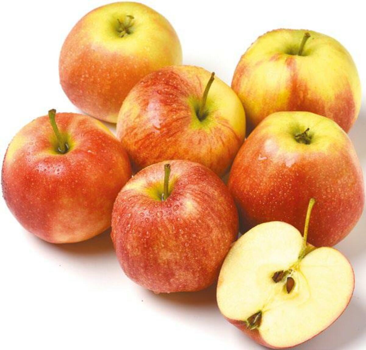 Bild 1 von GO Regio Jonagold