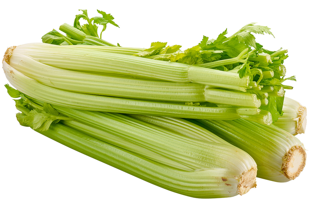 Bild 1 von Stangensellerie