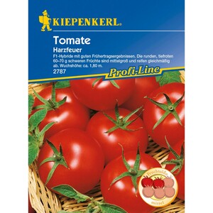 Kiepenkerl Profi-Line Tomaten "Harzfeuer" F1-Hybride