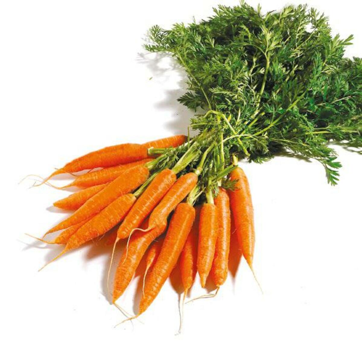 Bild 1 von Bundmöhren