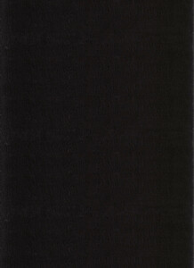 Ayyildiz Teppich, CATWALK 2600, BLACK, 160 x 220 cm