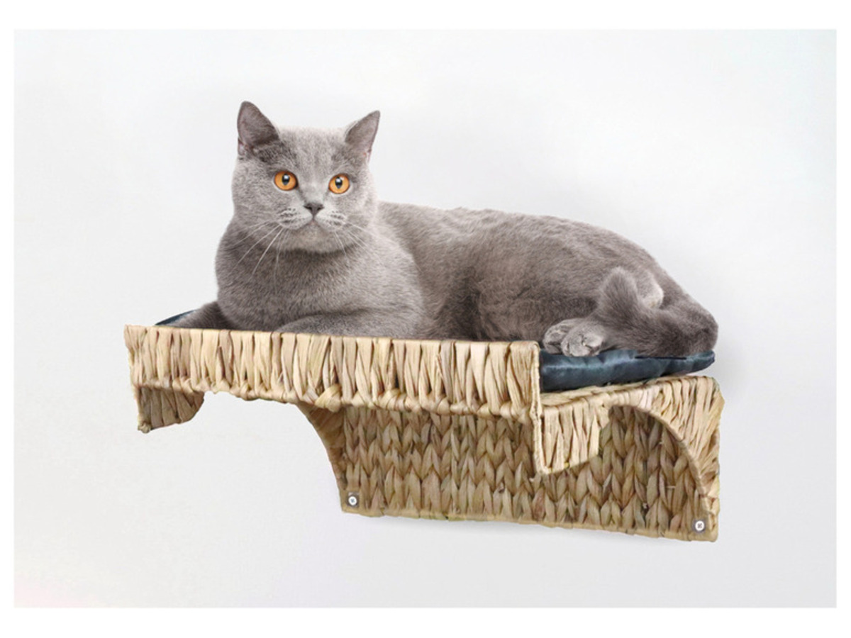 Bild 3 von SILVIO design Kletteretage »Alido«, mit weichem Kissen