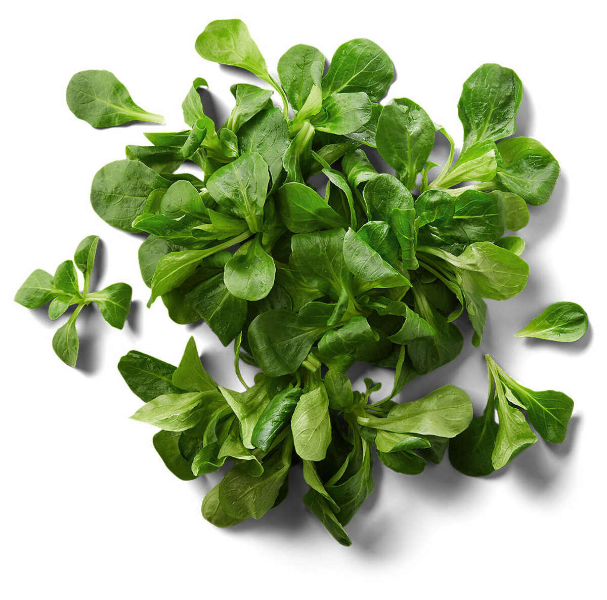 Bild 1 von Franz./ital. Feldsalat