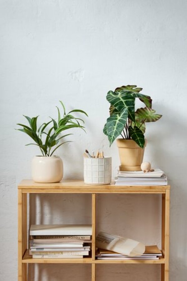 Bild 3 von Blumentopf MARCUS Ø16xH13cm beige