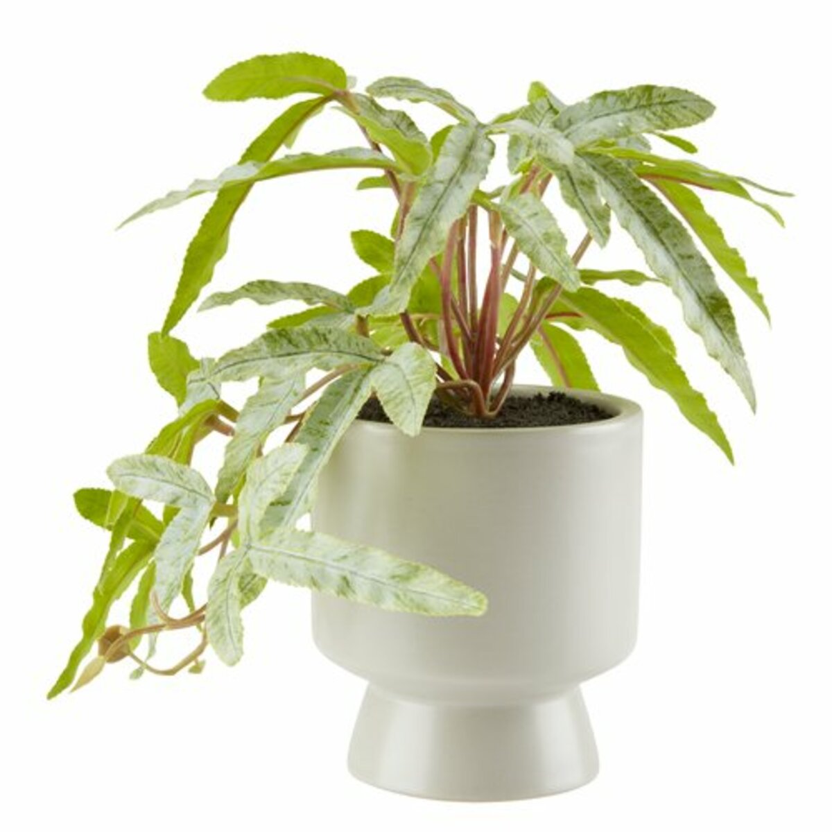 Bild 1 von Kunstpflanze OLSEN Ø9xH20cm m/Topf