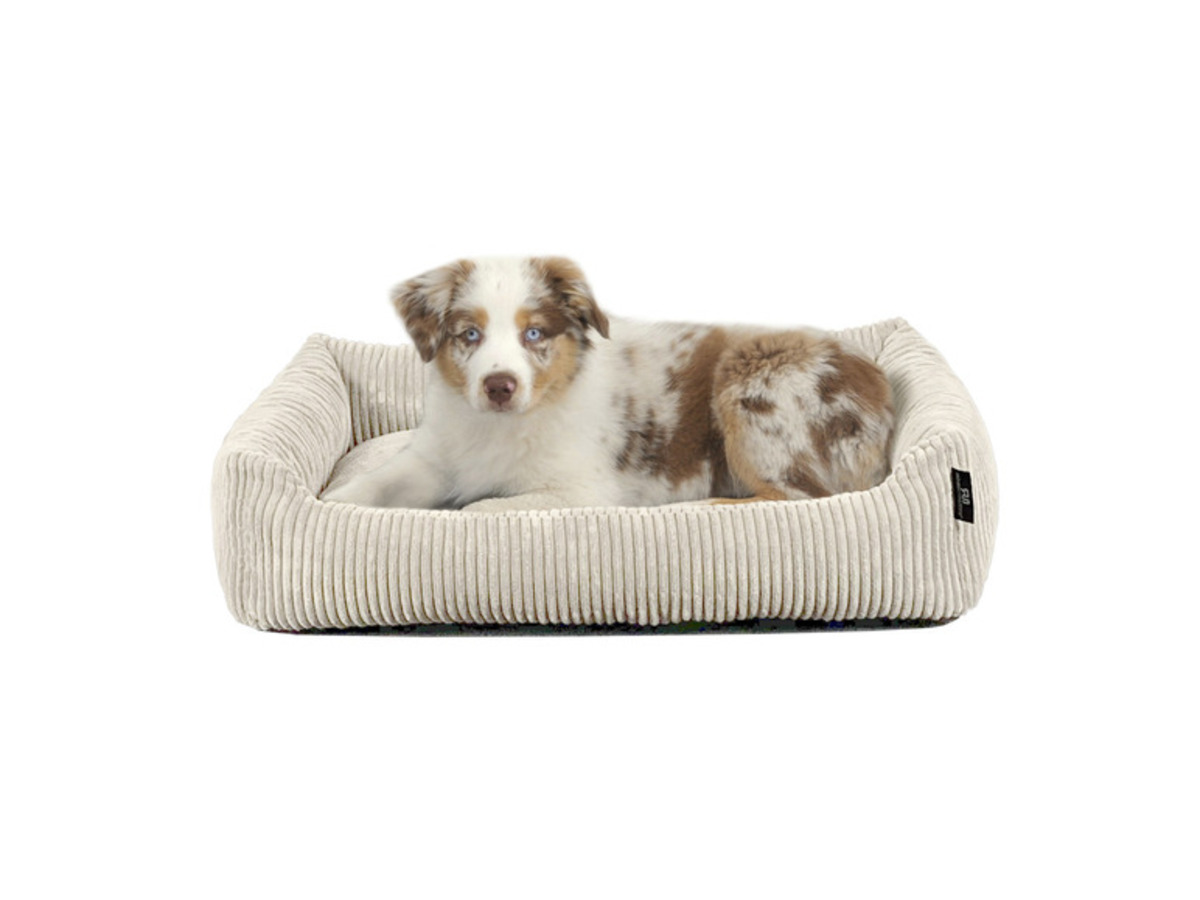 Bild 3 von SILVIO design Tierbett »Coon«, mit Cordstoff