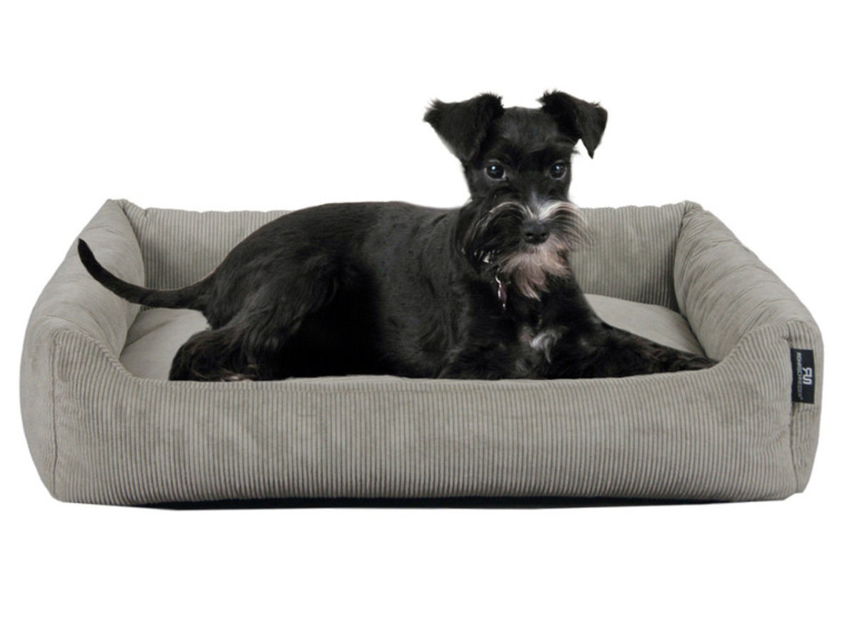 Bild 3 von SILVIO design Tierbett »Corvin«, mit Cordstoff
