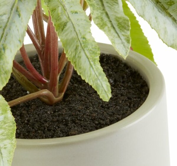 Bild 2 von Kunstpflanze OLSEN Ø9xH20cm m/Topf