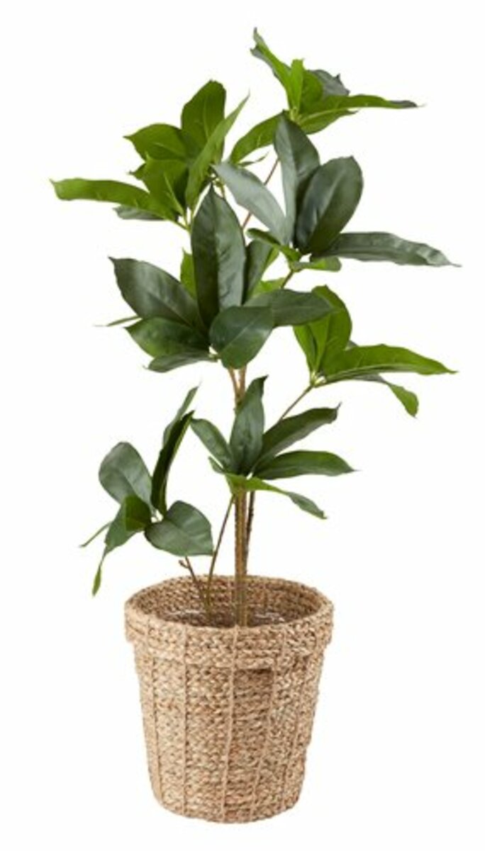 Bild 2 von Blumentopf ERIK Ø25xH24cm natur