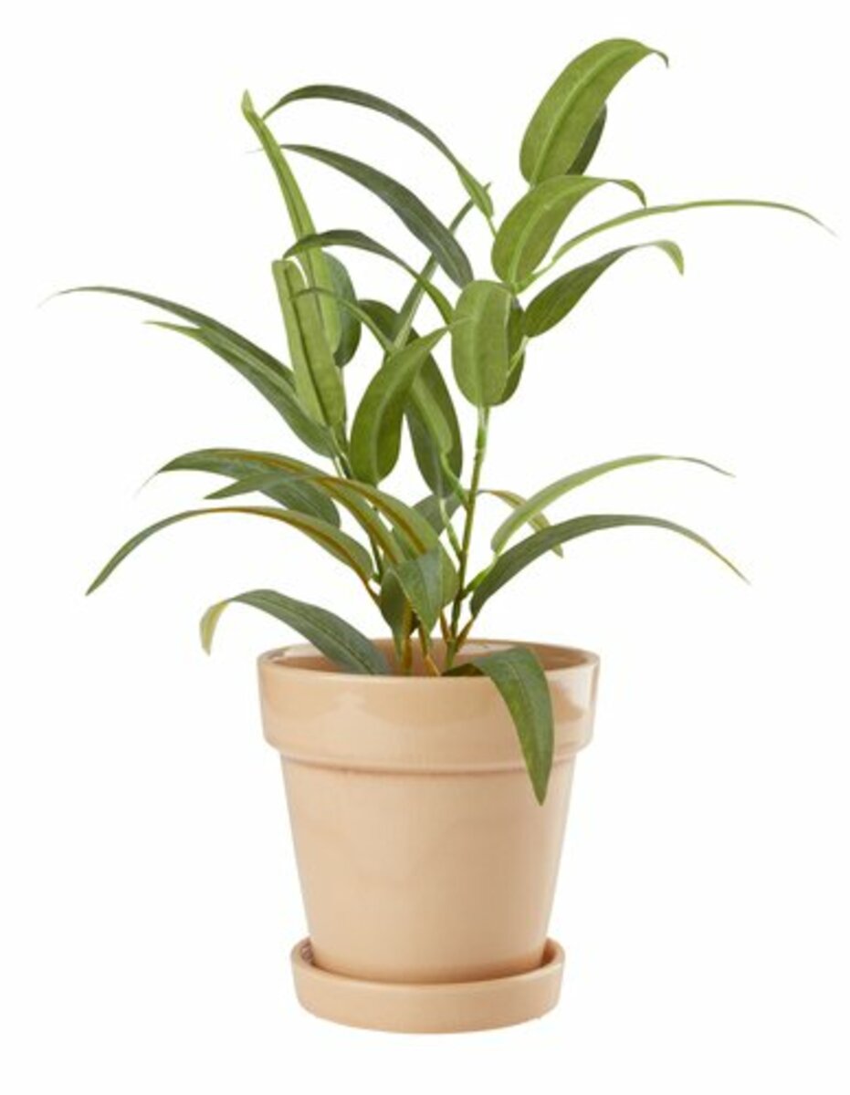 Bild 4 von Kunstpflanze LARSSON Ø11xH43cm grün