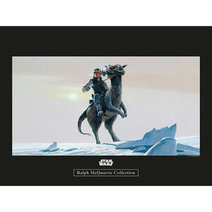 Komar Wandbild Star Wars Classic RMQ Hoth Tauntaun Star Wars B/L: ca. 40x30 cm