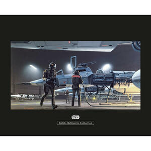 Komar Wandbild Star Wars Classic RMQ Yavin Y-Wing Star Wars B/L: ca. 50x40 cm